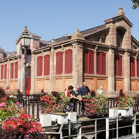 Apartment Historic Center - Belle Alsace 5 - 4 Etoiles