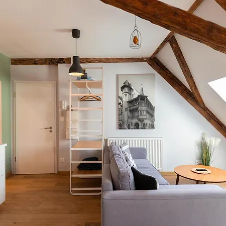 Historic Center - Belle Alsace 5 - 4 Etoiles * 科尔马