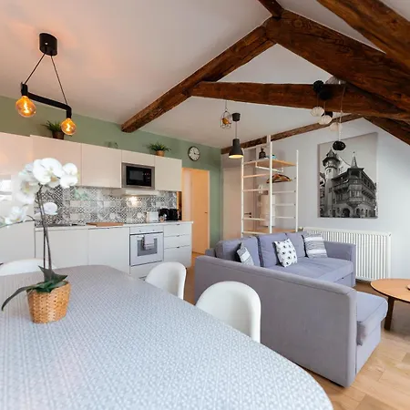 Apartamento Historic Center - Belle Alsace 5 - 4 Etoiles