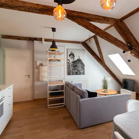 Historic Center - Belle Alsace 5 - 4 Etoiles *