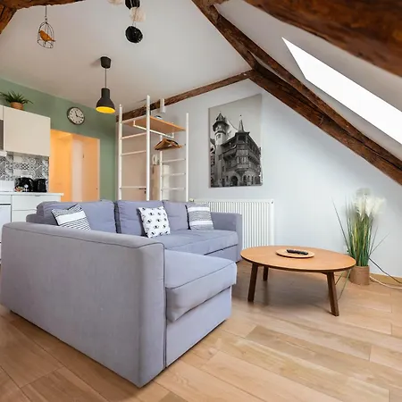 公寓 Historic Center - Belle Alsace 5 - 4 Etoiles *