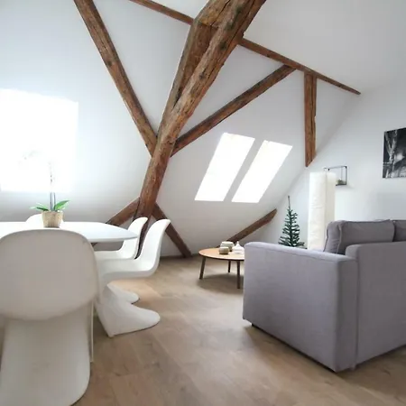 Apartment Historic Center - Belle Alsace 5 - 4 Etoiles
