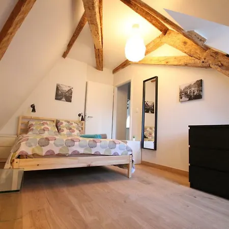 Historic Center - Belle Alsace 5 - 4 Etoiles 公寓 *