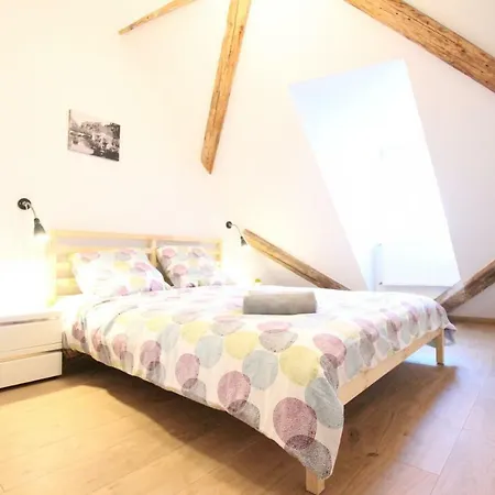 Apartment Historic Center - Belle Alsace 5 - 4 Etoiles Colmar