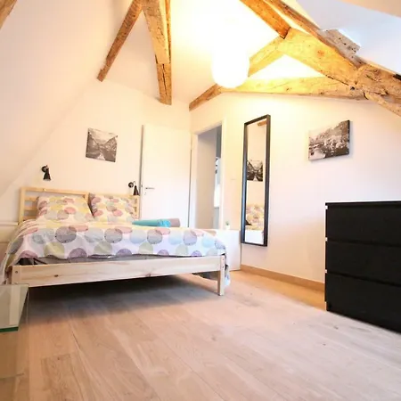 Daire Historic Center - Belle Alsace 5 - 4 Etoiles *