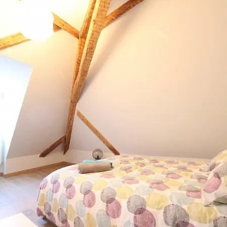 Historic Center - Belle Alsace 5 - 4 Etoiles Colmar