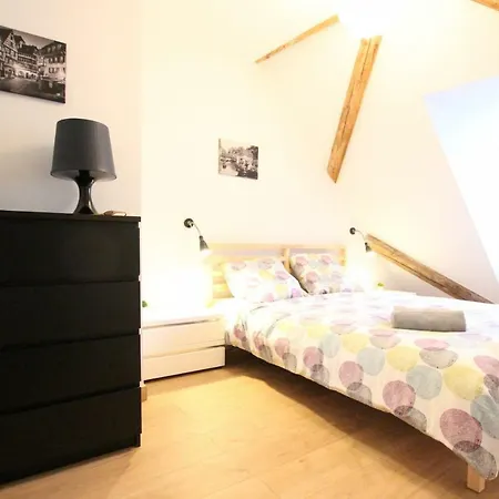 Historic Center - Belle Alsace 5 - 4 Etoiles * Colmar
