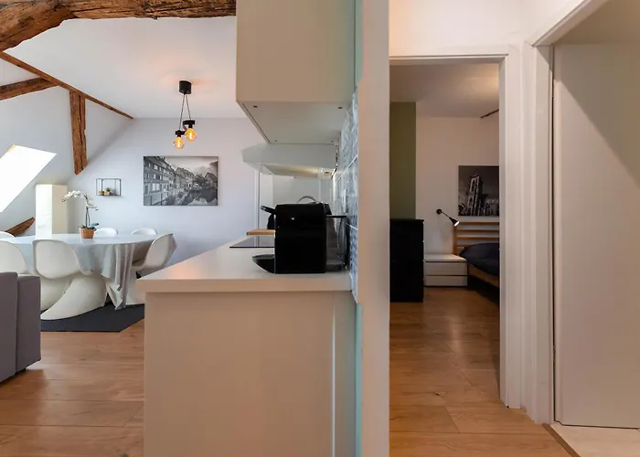 Apartman Historic Center - Belle Alsace 5 - 4 Etoiles