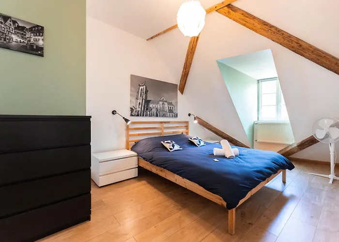 Apartman Historic Center - Belle Alsace 5 - 4 Etoiles *