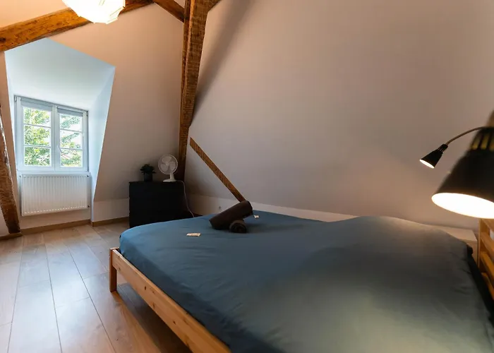 Apartman Historic Center - Belle Alsace 5 - 4 Etoiles Colmar