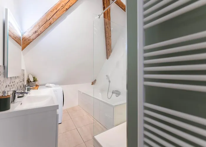 Historic Center - Belle Alsace 5 - 4 Etoiles Colmar