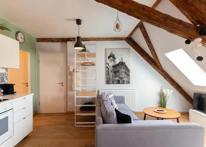 Historic Center - Belle Alsace 5 - 4 Etoiles * Colmar