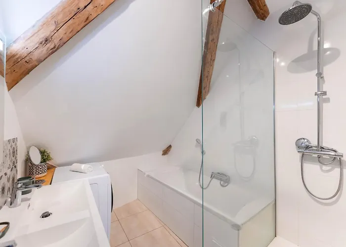 Apartman Historic Center - Belle Alsace 5 - 4 Etoiles *