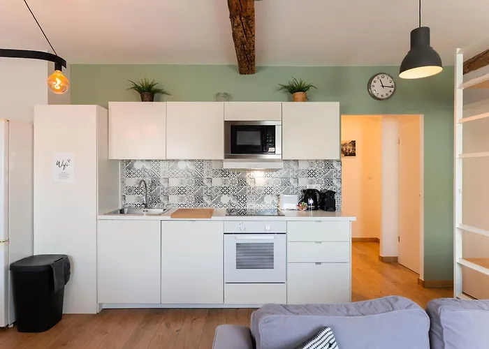 Apartman Historic Center - Belle Alsace 5 - 4 Etoiles Colmar