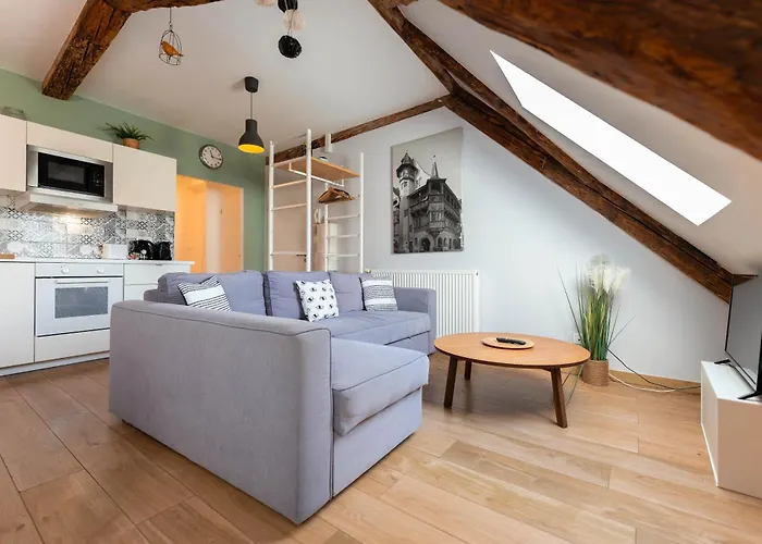 Apartman Historic Center - Belle Alsace 5 - 4 Etoiles *